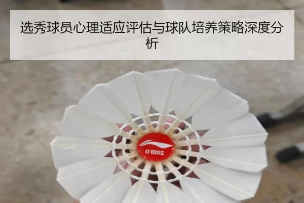 选秀球员心理适应评估与球队培养策略深度分析
